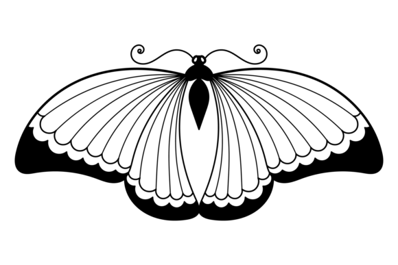 Butterfly Ink Drawing Graphics for Crafters