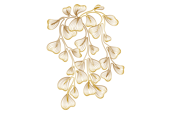 Decorative Botany Drawing. Golden Line a Graphics