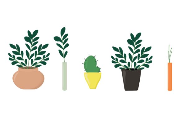 Decorative Plant Illustration Graphics for Modern Branding