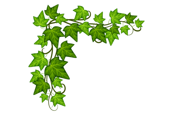 Ivy Corner Graphics: Green Leaves Illustrations