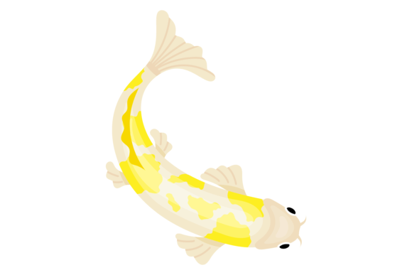 Japanese Garden Fish Graphics for Editorial and Web Use