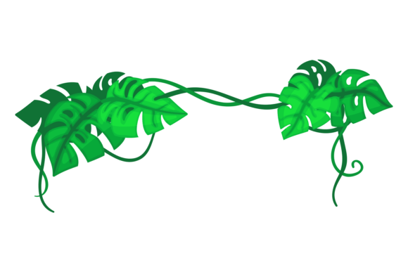 Monstera Leaves Decorative Border. Carto: Graphics & Illustrations