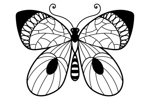 Ornate Butterfly Graphics for Creative Projects
