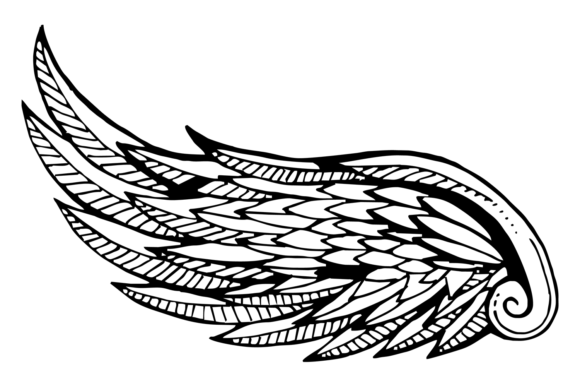 Wing Sketch Graphics: Ornate Bird Illustrations